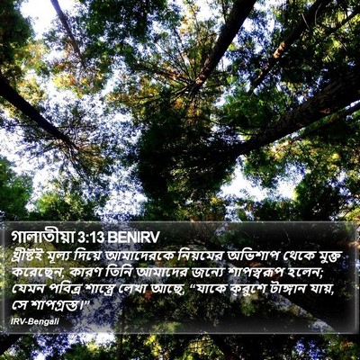 গালাতীয়া 3:13 BENIRV Bible Verse Image