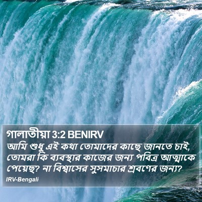 গালাতীয়া 3:2 BENIRV Bible Verse Image