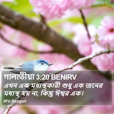 গালাতীয়া 3:20 BENIRV Bible Verse Image