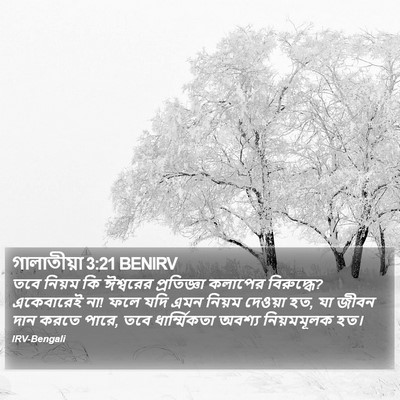 গালাতীয়া 3:21 BENIRV Bible Verse Image