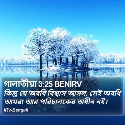 গালাতীয়া 3:25 BENIRV Bible Verse Image