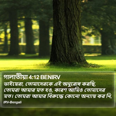 গালাতীয়া 4:12 BENIRV Bible Verse Image