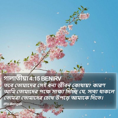 গালাতীয়া 4:15 BENIRV Bible Verse Image