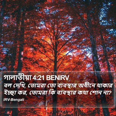 গালাতীয়া 4:21 BENIRV Bible Verse Image