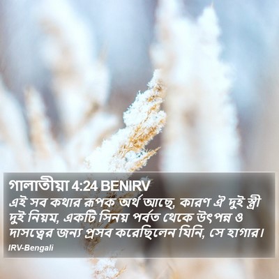 গালাতীয়া 4:24 BENIRV Bible Verse Image