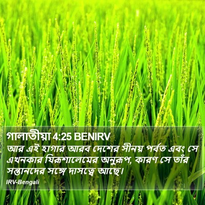 গালাতীয়া 4:25 BENIRV Bible Verse Image