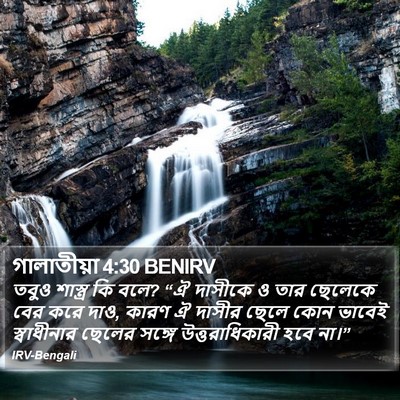 গালাতীয়া 4:30 BENIRV Bible Verse Image