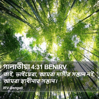 গালাতীয়া 4:31 BENIRV Bible Verse Image