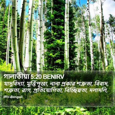 গালাতীয়া 5:20 BENIRV Bible Verse Image