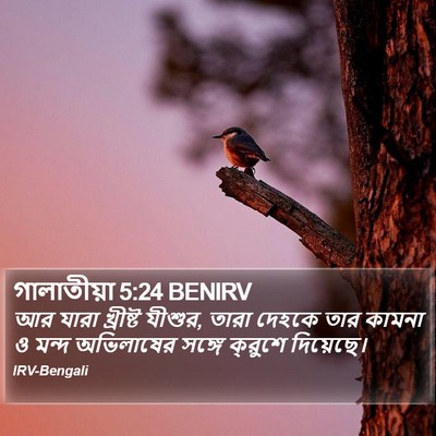 গালাতীয়া 5:24 BENIRV Bible Verse Image