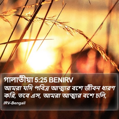 গালাতীয়া 5:25 BENIRV Bible Verse Image