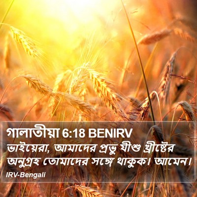 গালাতীয়া 6:18 BENIRV Bible Verse Image