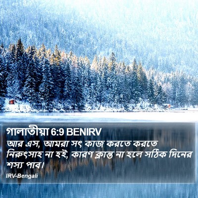 গালাতীয়া 6:9 BENIRV Bible Verse Image