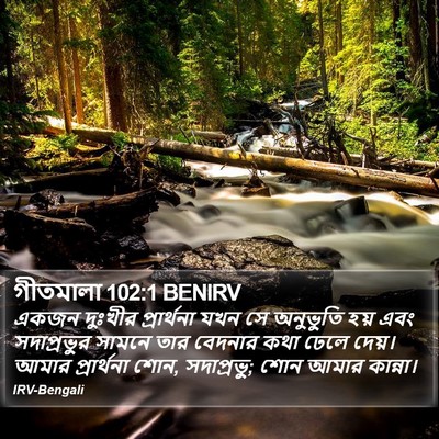 গীতমালা 102:1 BENIRV Bible Verse Image