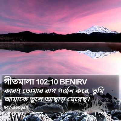 গীতমালা 102:10 BENIRV Bible Verse Image