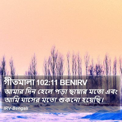 গীতমালা 102:11 BENIRV Bible Verse Image