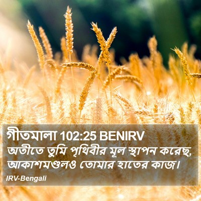 গীতমালা 102:25 BENIRV Bible Verse Image