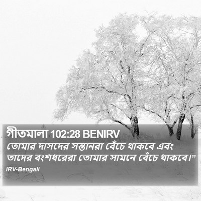 গীতমালা 102:28 BENIRV Bible Verse Image