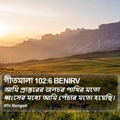 গীতমালা 102:6 BENIRV Bible Verse Image