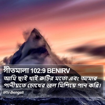 গীতমালা 102:9 BENIRV Bible Verse Image