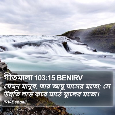 গীতমালা 103:15 BENIRV Bible Verse Image