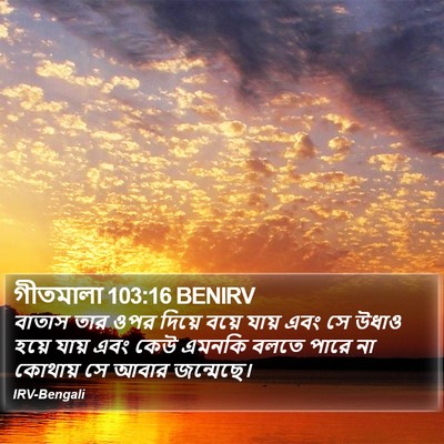 গীতমালা 103:16 BENIRV Bible Verse Image