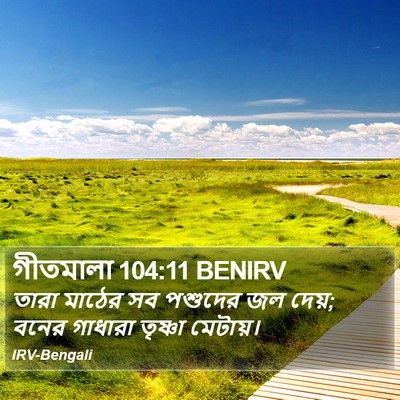 গীতমালা 104:11 BENIRV Bible Verse Image