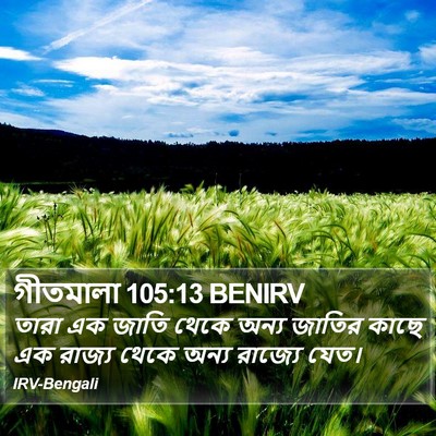 গীতমালা 105:13 BENIRV Bible Verse Image