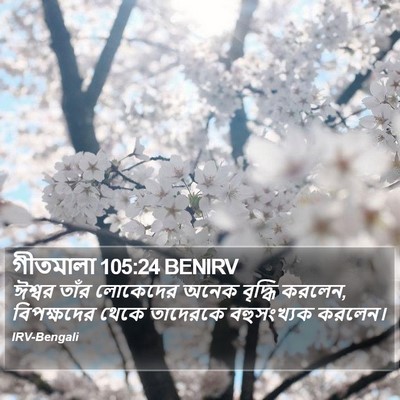 গীতমালা 105:24 BENIRV Bible Verse Image