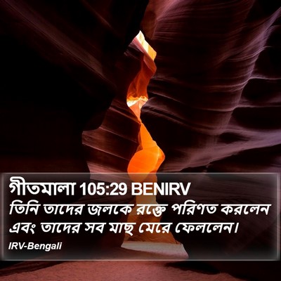 গীতমালা 105:29 BENIRV Bible Verse Image