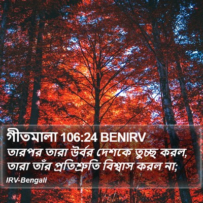 গীতমালা 106:24 BENIRV Bible Verse Image