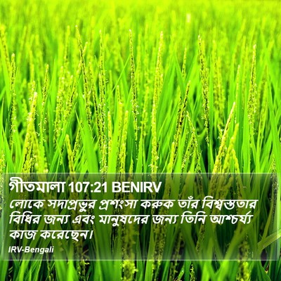 গীতমালা 107:21 BENIRV Bible Verse Image