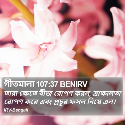 গীতমালা 107:37 BENIRV Bible Verse Image