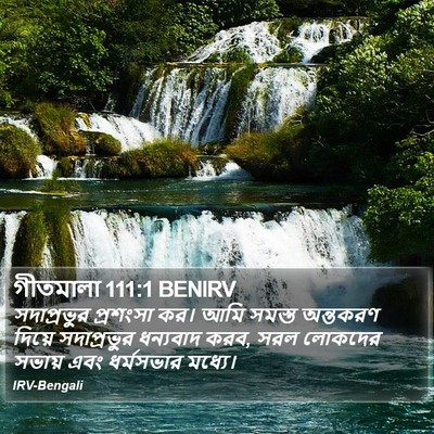 গীতমালা 111:1 BENIRV Bible Verse Image