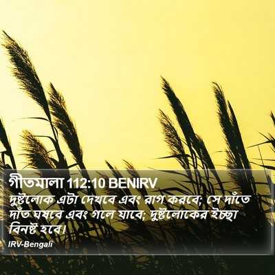 গীতমালা 112:10 BENIRV Bible Verse Image