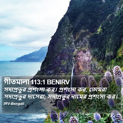 গীতমালা 113:1 BENIRV Bible Verse Image