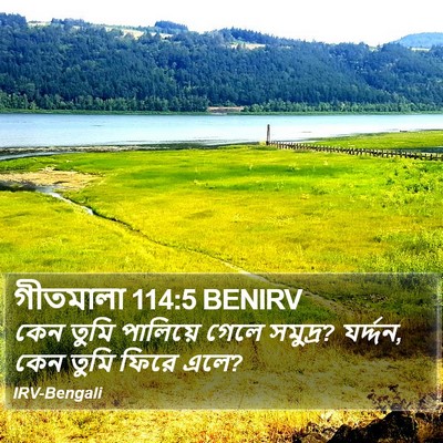 গীতমালা 114:5 BENIRV Bible Verse Image