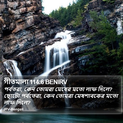 গীতমালা 114:6 BENIRV Bible Verse Image