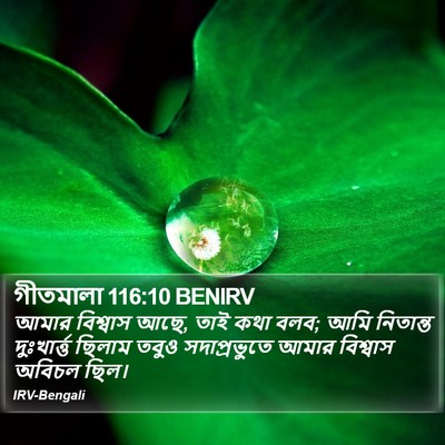 গীতমালা 116:10 BENIRV Bible Verse Image