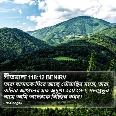 গীতমালা 118:12 BENIRV Bible Verse Image