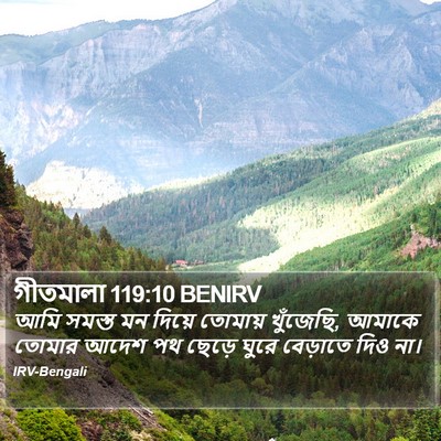 গীতমালা 119:10 BENIRV Bible Verse Image