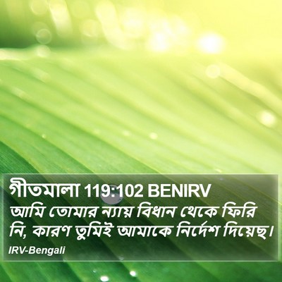 গীতমালা 119:102 BENIRV Bible Verse Image