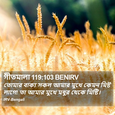 গীতমালা 119:103 BENIRV Bible Verse Image