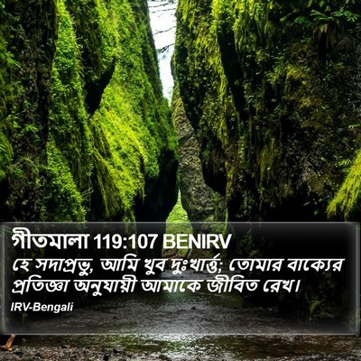 গীতমালা 119:107 BENIRV Bible Verse Image