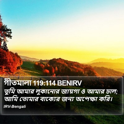 গীতমালা 119:114 BENIRV Bible Verse Image