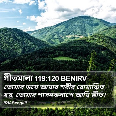 গীতমালা 119:120 BENIRV Bible Verse Image