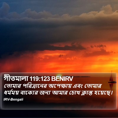 গীতমালা 119:123 BENIRV Bible Verse Image