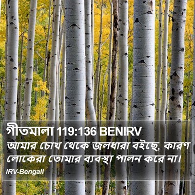 গীতমালা 119:136 BENIRV Bible Verse Image