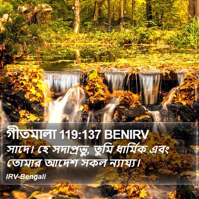 গীতমালা 119:137 BENIRV Bible Verse Image