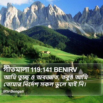 গীতমালা 119:141 BENIRV Bible Verse Image